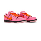 The Powerpuff Girls x Nike Dunk Low Pro SB QS 'Blossom'